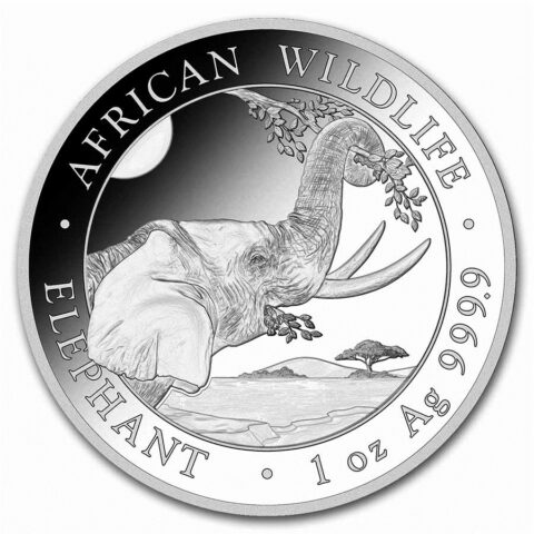 Somalia - Elephant 2024 - 1oz (Argent)