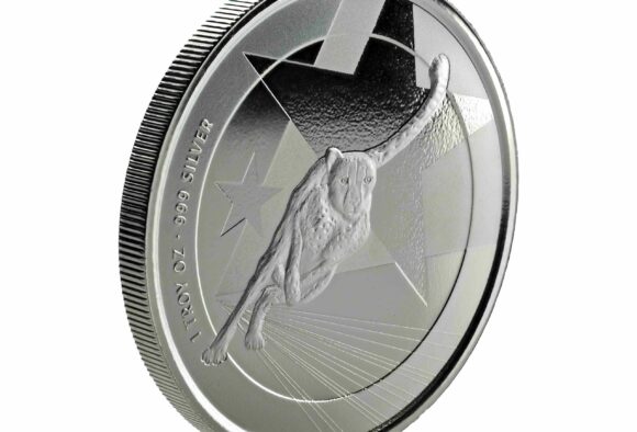 Cameroon - Cheetah 2019 - 1oz Silver - Afbeelding 7