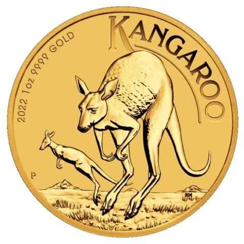 Australia - Kangaroo 2022 - 1oz Goud