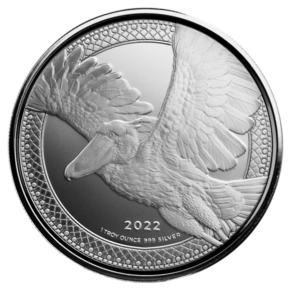 Congo - Shoebill Stork 2022 - 1oz (Silver)