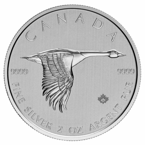 Canada – Goose 2020 $10 – 2oz (Silver)